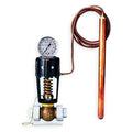 Dir. Acting Temp. Reg.,1 In,65 psi