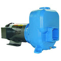 Centrifugal Pump, 3 hp, 115/230V AC, 1 Phase, 138 ft Max Head