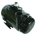 Zinc Alloy 1/10 HP Compact Submersible Pump 115V