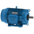 Cooling Tower Motor, Three Phase, 3 HP, 1,760 Nameplate RPM, 230/460V AC, 182T Frame