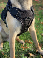 Artemis Dog Harness - No Pull No Tug No Choke Adjustable Breathable K-9