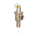Temperature and Pressure Relief Valve