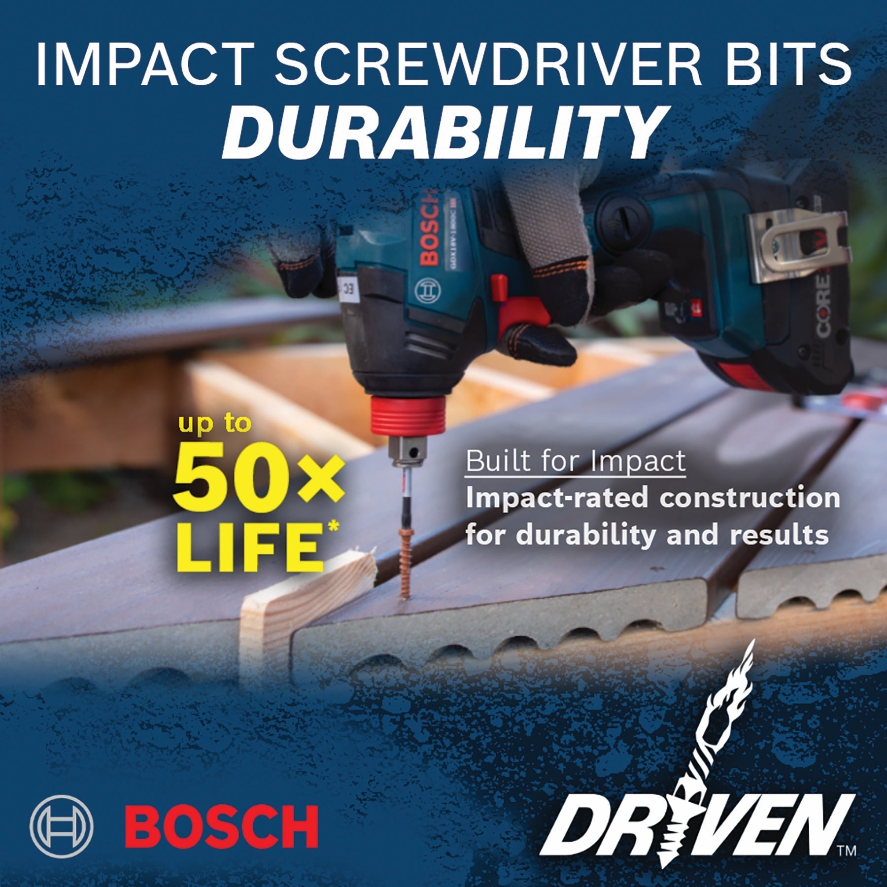BOSCH ITDPH3102 2 pc. Driven 1 In. Impact Phillips® #3 Insert Bits