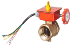 BB Butterfly Valve Kennedy Bronze Design for Fire Systems