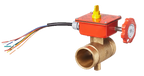 BB Butterfly Valve Kennedy Bronze Design for Fire Systems
