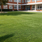 Yescom 15' Artificial Grass Roll Large-scale Landscape Projects | Cut-to-Length
