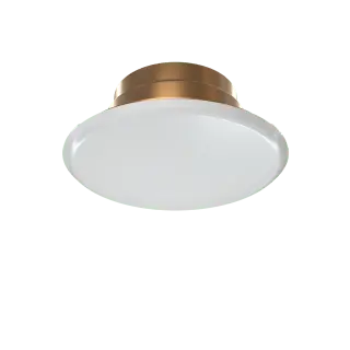 Cover Assembly Concealed PCH 165F Threaded Fire Accessory