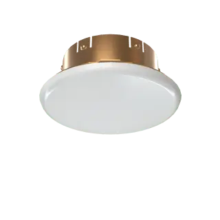 Cover Assembly Concealed Brass 165 PU Fire Protection