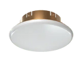 Cover Assembly Concealed Brushed Brass 139 Fire Safety