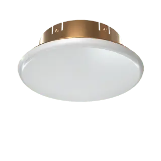 Cover Assembly Concealed Brushed Brass 139 Fire Safety