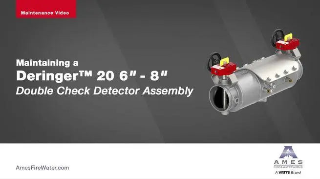 Deringer 20X Low Head Loss Double Check Valve Assembly
