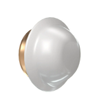 Domed Cover Plate Sidewall for Viking Sprinkler 2"