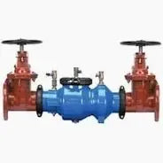 Double Check Detector Assembly with OS&Y Valves