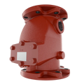 Easy Riser Swing Check Valve Model E-1 F-1 for Fire Systems
