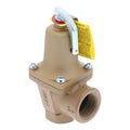 Boiler Pressure Relief Valve,Iron,30 psi
