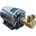 RotaryVanePump,Brass,75gph,3/8"InletDia