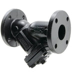 Flanged Wye Pattern Cast Iron Strainer for Liquid Steam