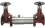 Maxim Series M200 Double Check Valve Assembly
