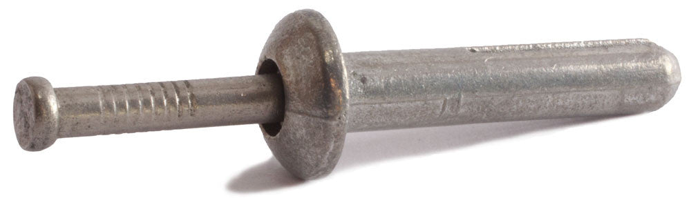 1/4 x 1 1/2 Nail-in Anchor Mushroom Stainless Steel (100)