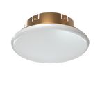 Mirage ELO Cover Plate for 5" Fire Protection System