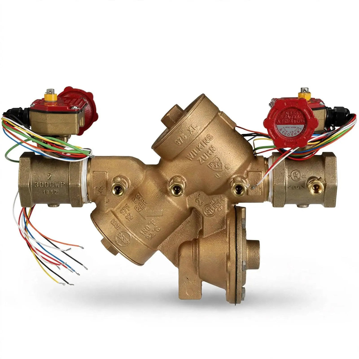2" Reduced Pressure Backflow Valve with Supervised Switch