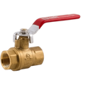 FPPI #06-838 BALL VALVE