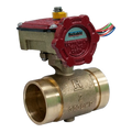 Reliable Bronze Fire Valve RBVG/RBVT Critical Control