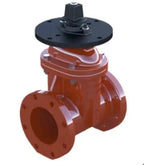Resilient Wedge NRS Gate Valve for Reliable Performance