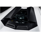 NT Style Dry Carbon Fiber Engine Bonnet Air Intake Panel for Lamborghini Aventador
