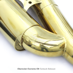 Valved Gold Plated Catback Exhaust Carbon Fiber Tips for Corvette C8