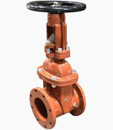 Wilkins OS&Y Gate Valve