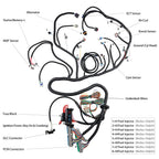 LS T56 DBW STANDALONE WIRING HARNESS or Non-Electric Tran 4.8 5.3 6.0