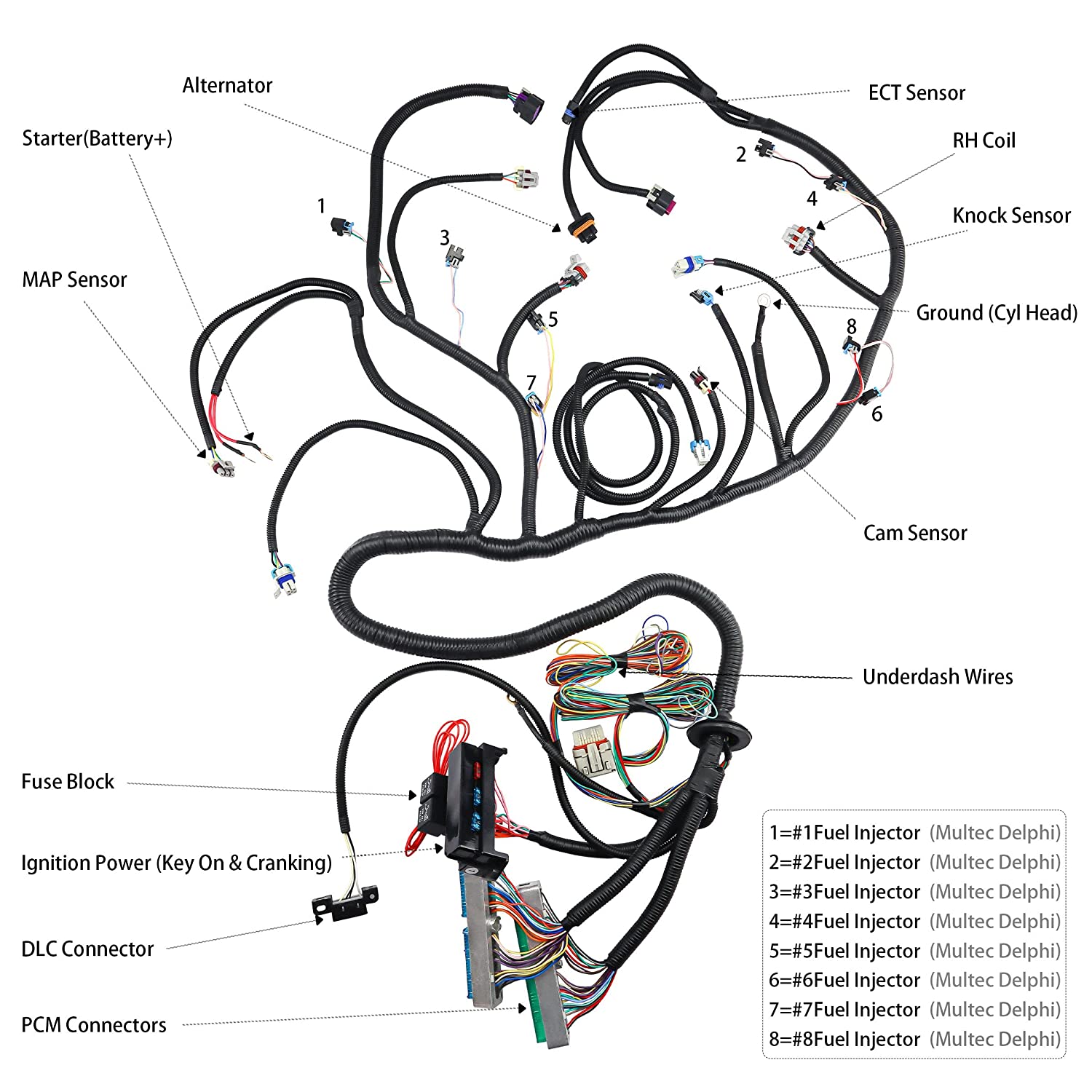 LS T56 DBW STANDALONE WIRING HARNESS or Non-Electric Tran 4.8 5.3 6.0