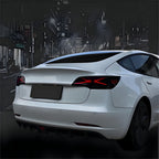 TESERY X-treme Tail Light for Model 3/Y