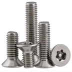 Tamper Proof Screw