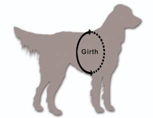 Titan K-9 Vest (Harness only)